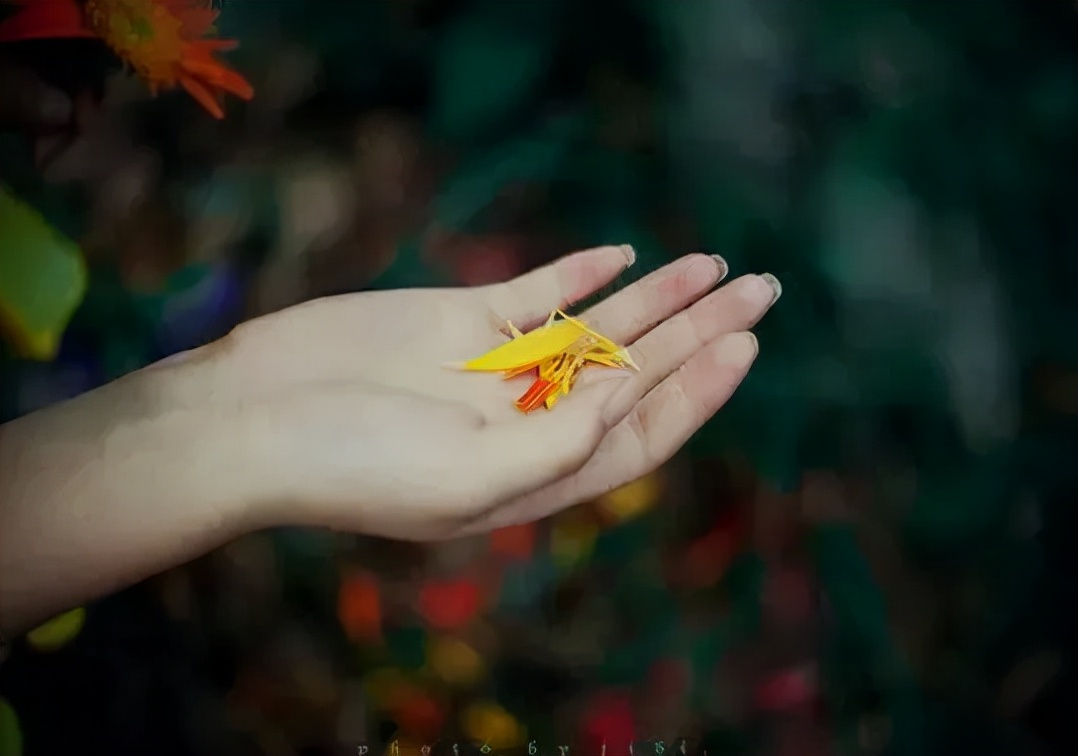 懂你的人和不懂你的人