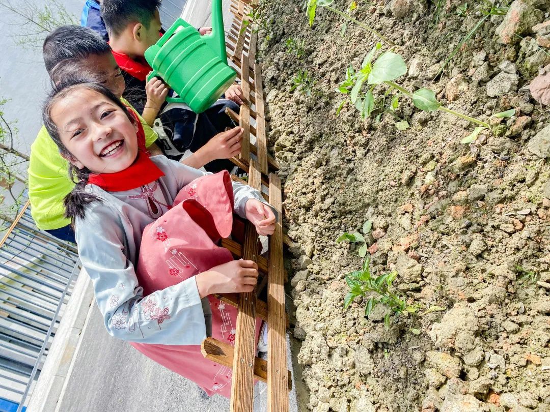 「责任教育 劳动课程」成都市双流区黄甲小学开发特色劳动种植课程