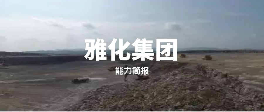 能力简报｜特斯拉加持的雅化野心侧露，锂矿链条澳州到加拿大