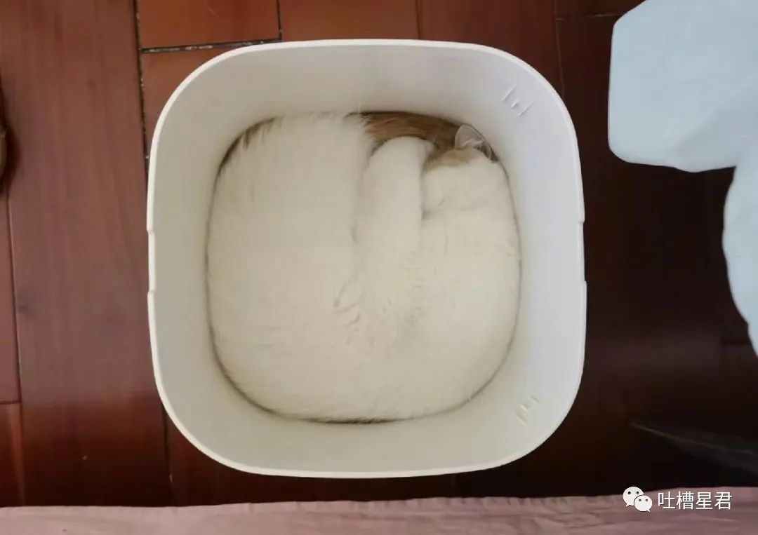 周杰伦新专辑为了显瘦有多心机？郎朗：我没惹你们任何人.