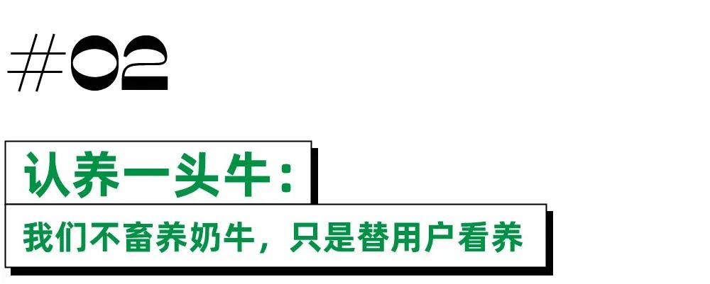 当养成系营销蔓延到品牌届：抢不到红薯就认领一块红薯地