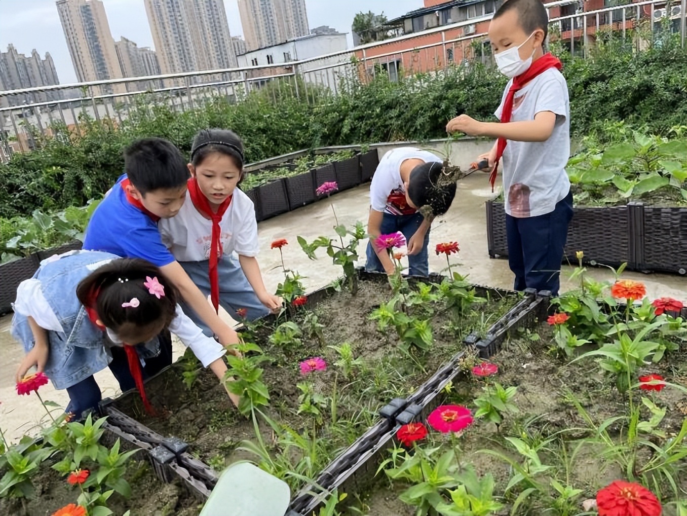 中和小学参加区教育发展中心综合实践教学设计比赛并喜获一等奖