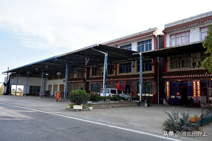 見(jiàn)證一個(gè)柑橘產(chǎn)業(yè)大村——鴉鵲嶺鎮(zhèn)云臺(tái)村回訪小記