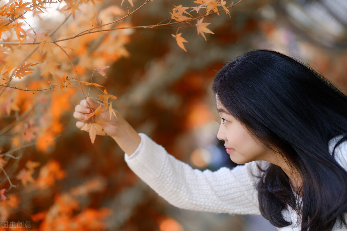 10首银杏诗词 | 在诗词里绽放的银杏落叶，美了亿万年