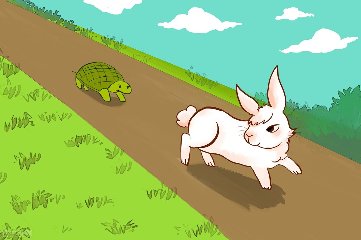 龟兔赛跑的好词好句20字汇集56句（龟兔赛跑，你读到了什么？）