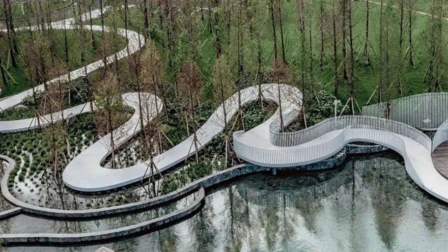 景观设计，“曲线”之美