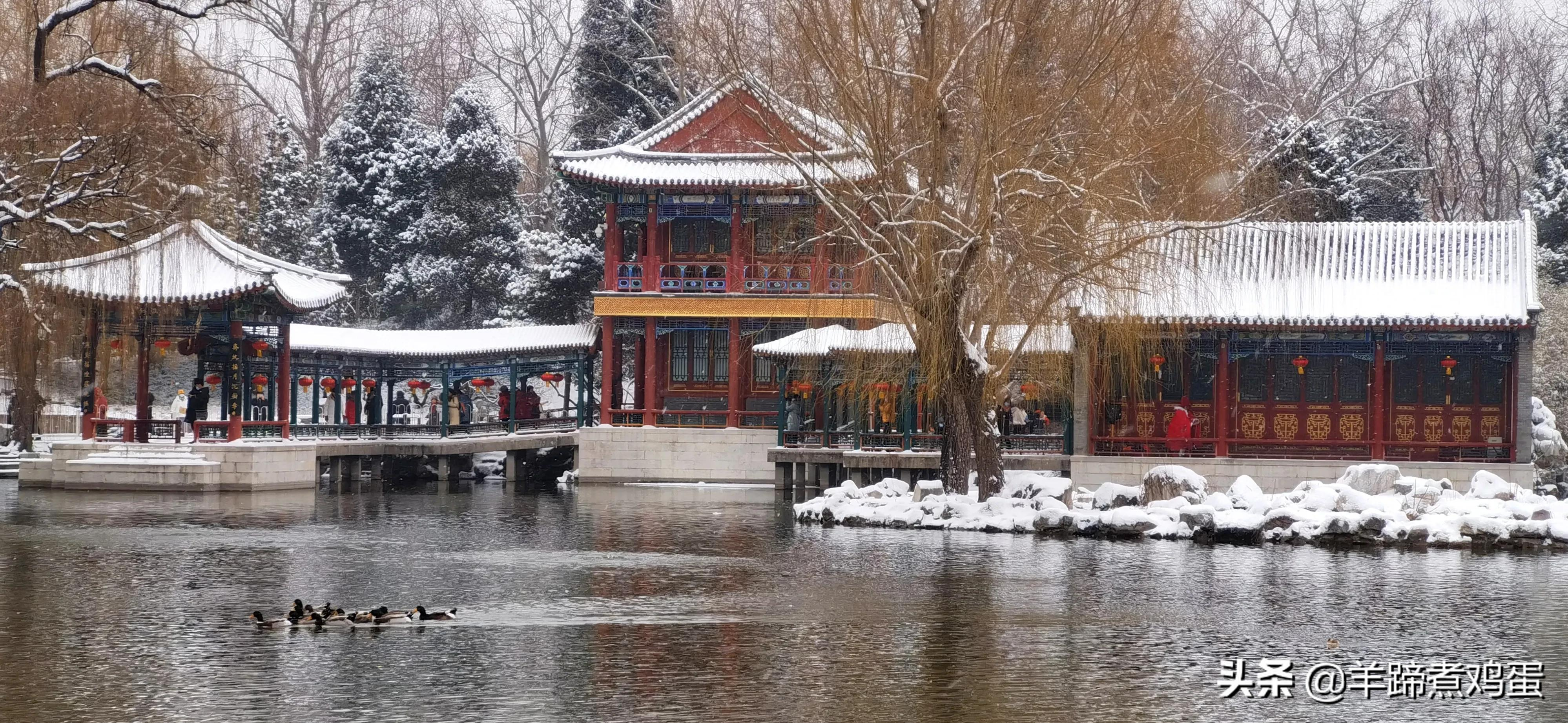 难览观园全画景雪覆腊梅一隅香——踏雪寻游北京大观园