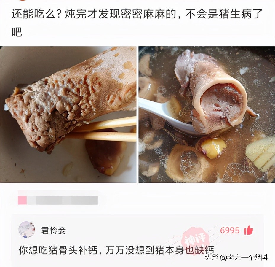 搞笑神回复：你想吃猪骨头补钙，万万没想到猪本身也缺钙