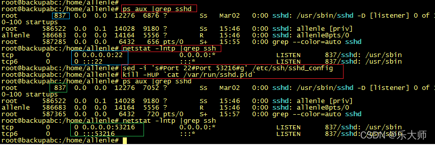 快速上手kill命令和killall命令