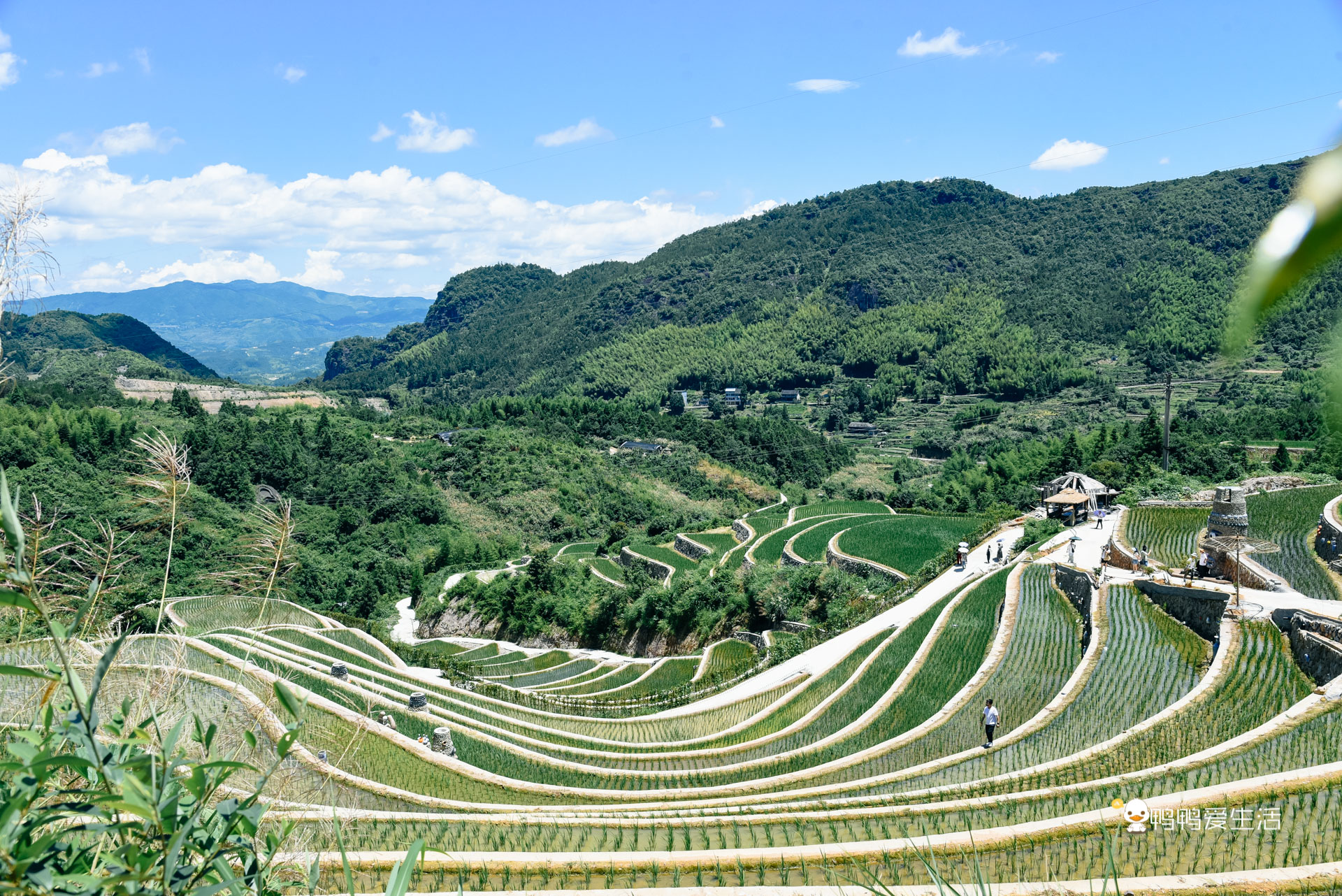 温州泰顺：住进超五星酒店泡温泉，假装在奈良逗小鹿，无比惬意