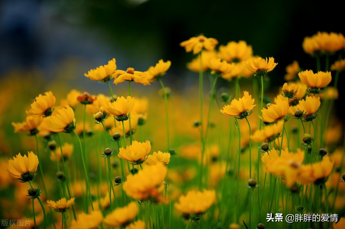 風雨人生路簡短經典句子,風雨人生路經典短句子_愛閱讀