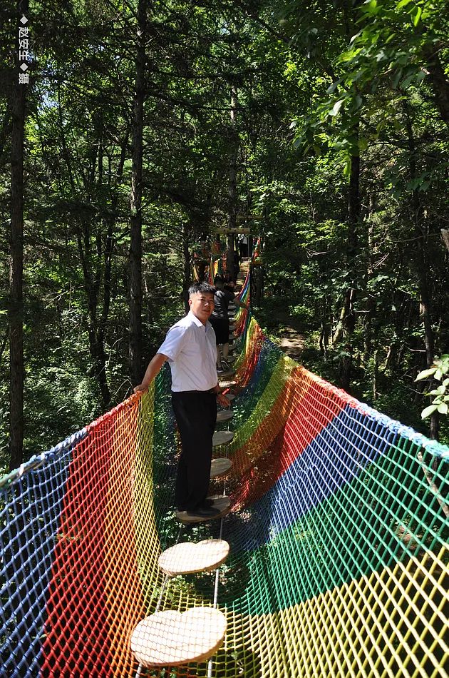 因麥積山而來 留植物園忘返！麥積山植物園帶你體驗叢林探險的樂趣