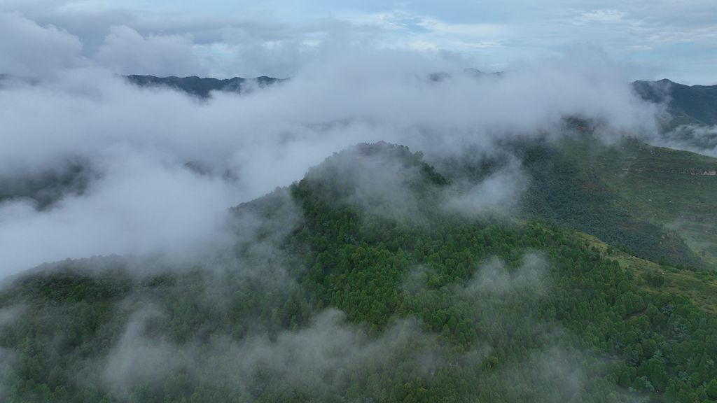 武帝山國(guó)家森林公園：雨后云海變幻多姿