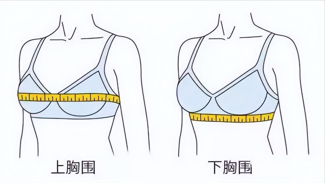a罩杯是多大真人图片(不穿内衣导致乳房下垂) - 赤虎壹号