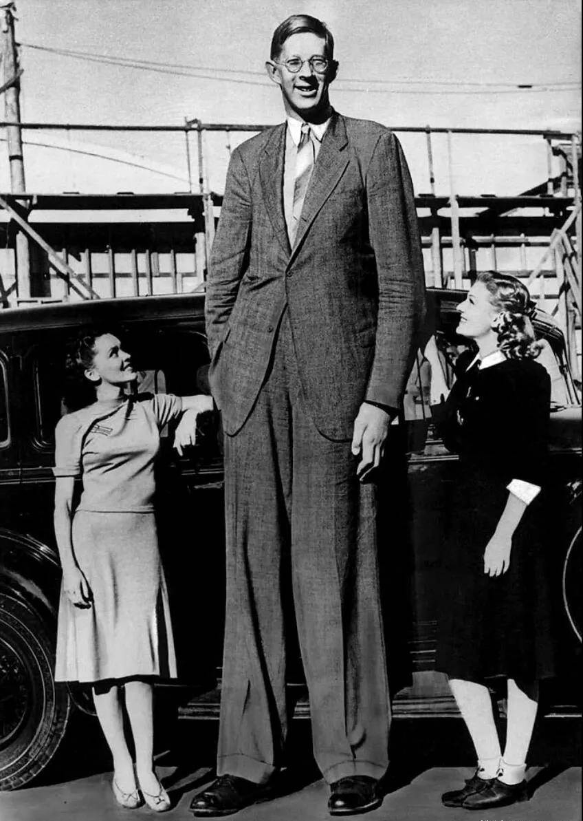 世界第一高人（死后还在生长，棺材18人才抬得动）-第23张图片