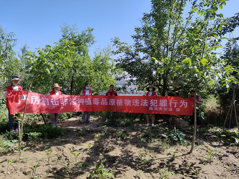 西固区临洮街街道开展禁种铲毒踏查宣传活动