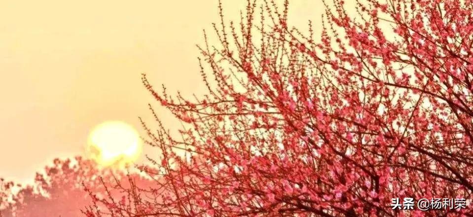 等人的漫长时光：沉默守候中的期待与焦虑