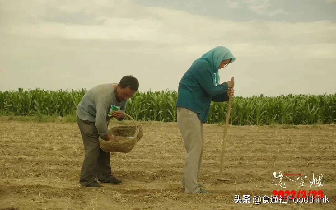 道德故事搬上银幕，真实农村“隐入尘烟”