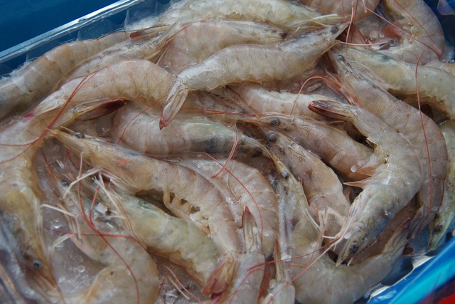 图片[1]-【白灼虾】做法步骤图 虾肉鲜嫩Q弹 营养又美味-起舞食谱网