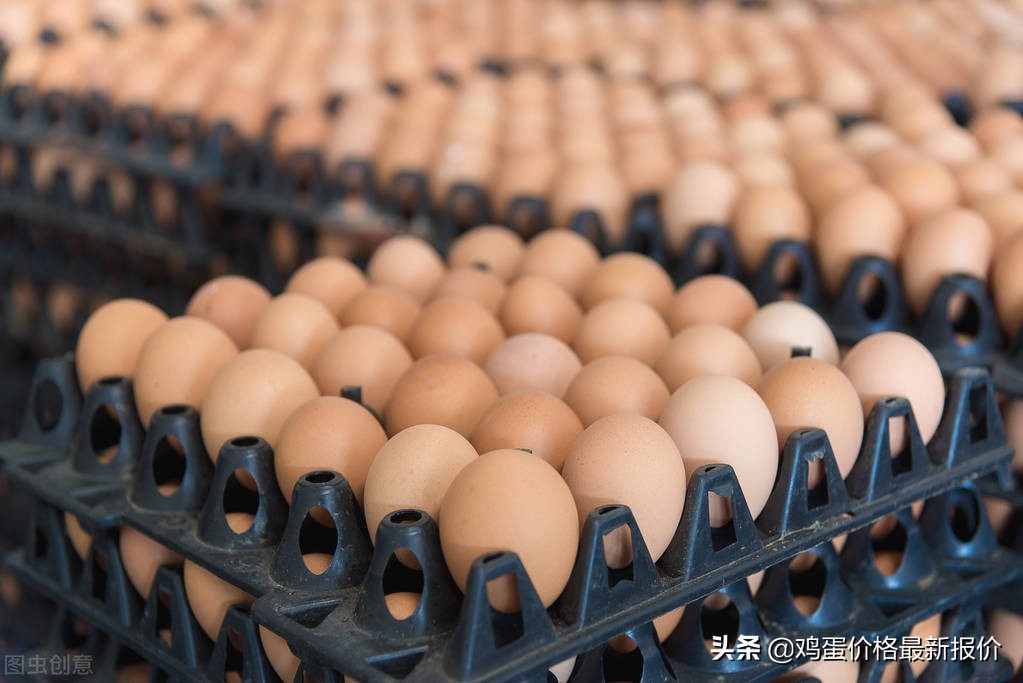 今日兴平鸡蛋价格「蛋禽网今日鸡蛋价格」