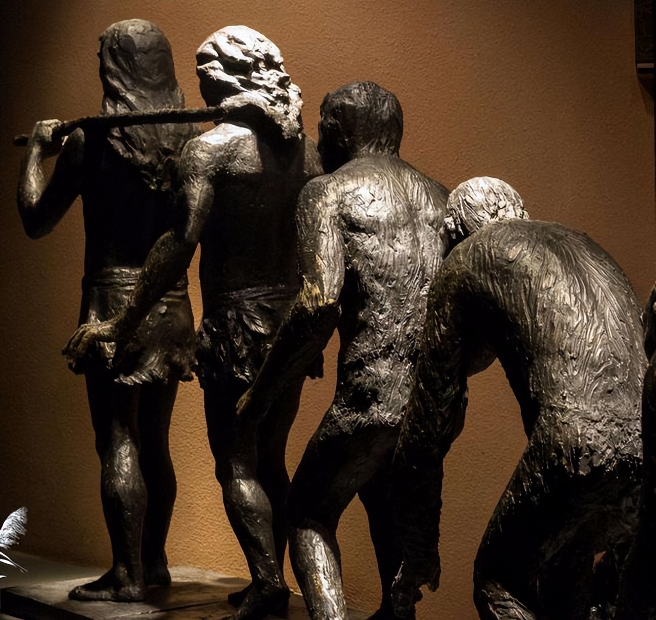 中国浙江、云南的化石立功！科学家首证：人类中耳由鱼鳃演变而来