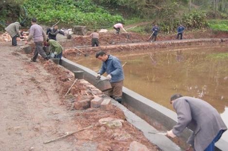 1995年，四川一山丘常年寒气逼人，考古队赶来查探