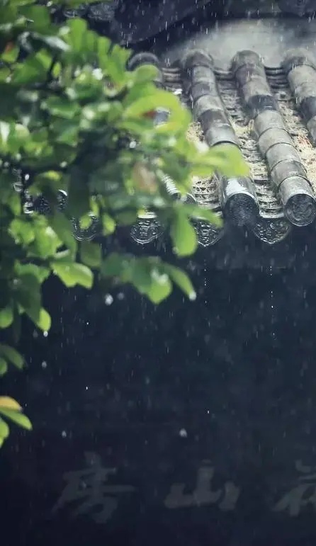 散文：春雨绵柔，用心感受属于自己的美好