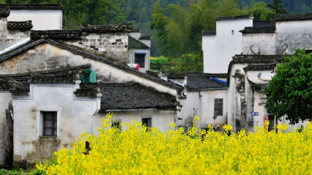 全部免费！盘点安徽“不要钱”的18处景点，收藏够玩一整年