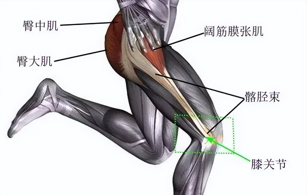 足弓垫瘦腿怎么使用（七天高效训练 - 完善足弓，帮你轻松瘦小腿2CM）