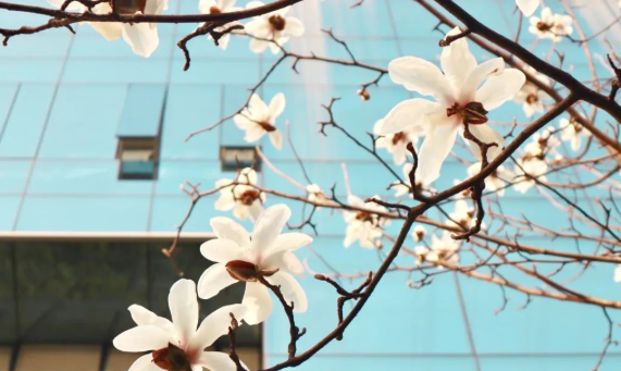 关注！四川这所高校：公开发表10项重磅成果！填补国内空白，发现世界首例！