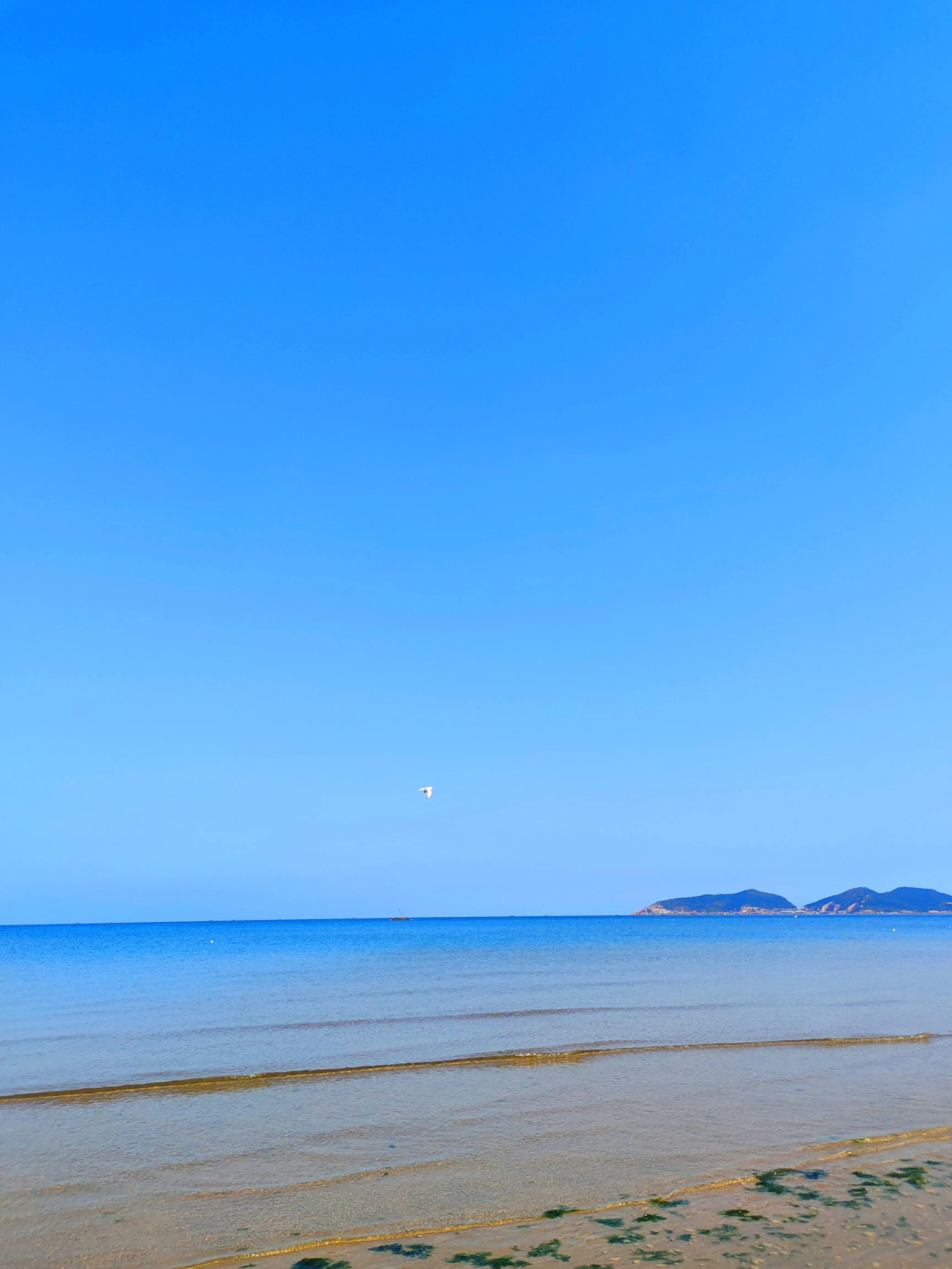 水天一色间，问一声那海鸥