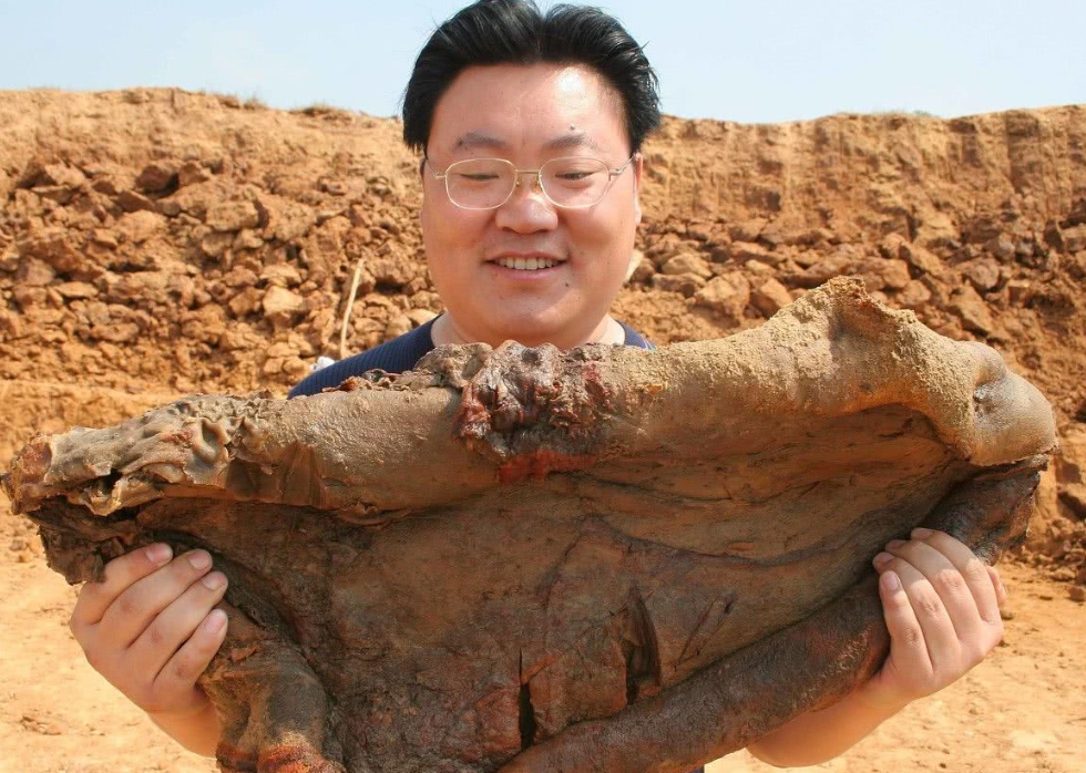 什么是太岁，不是植物不是动物的一坨“肉”，为什么能价值百万？