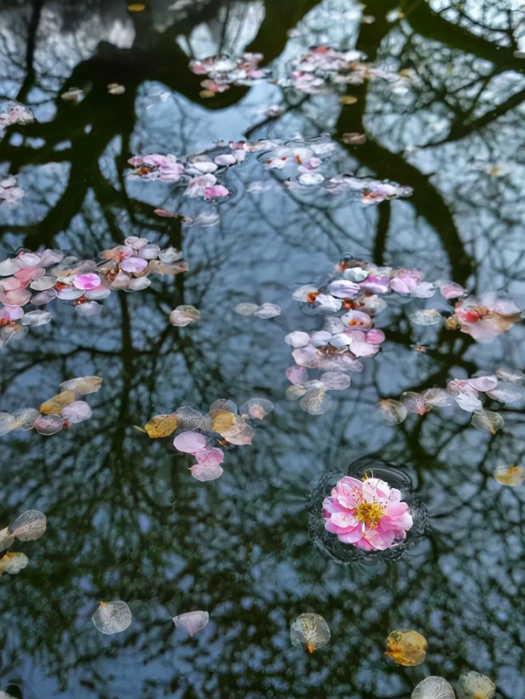 春半 春半 窗外落花不断，十首落花的诗词，留住春天的美好