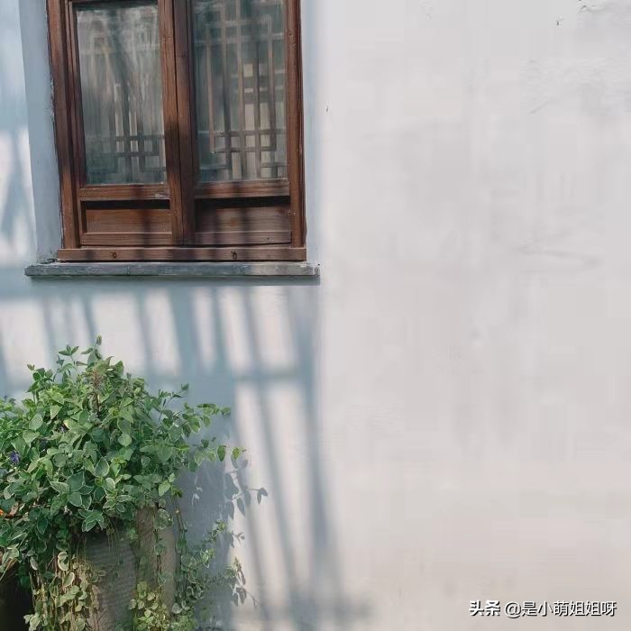 别再做摘抄！10分钟学会写金句快速提升文笔
