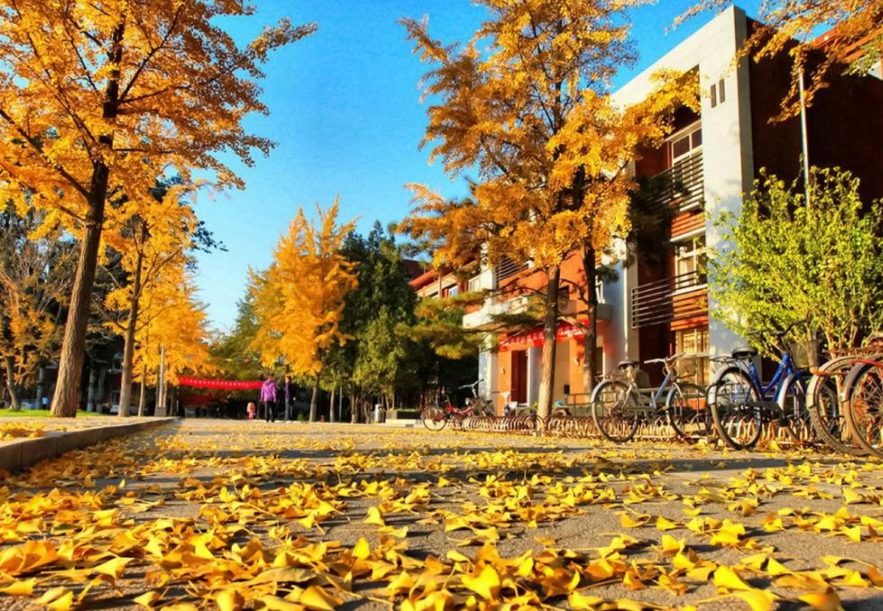 我国大学的“七大等级”，来自各地区的学霸，都集中在四级以上