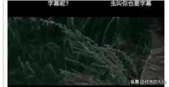 影视剧中的爆笑弹幕,网友个个都是人才