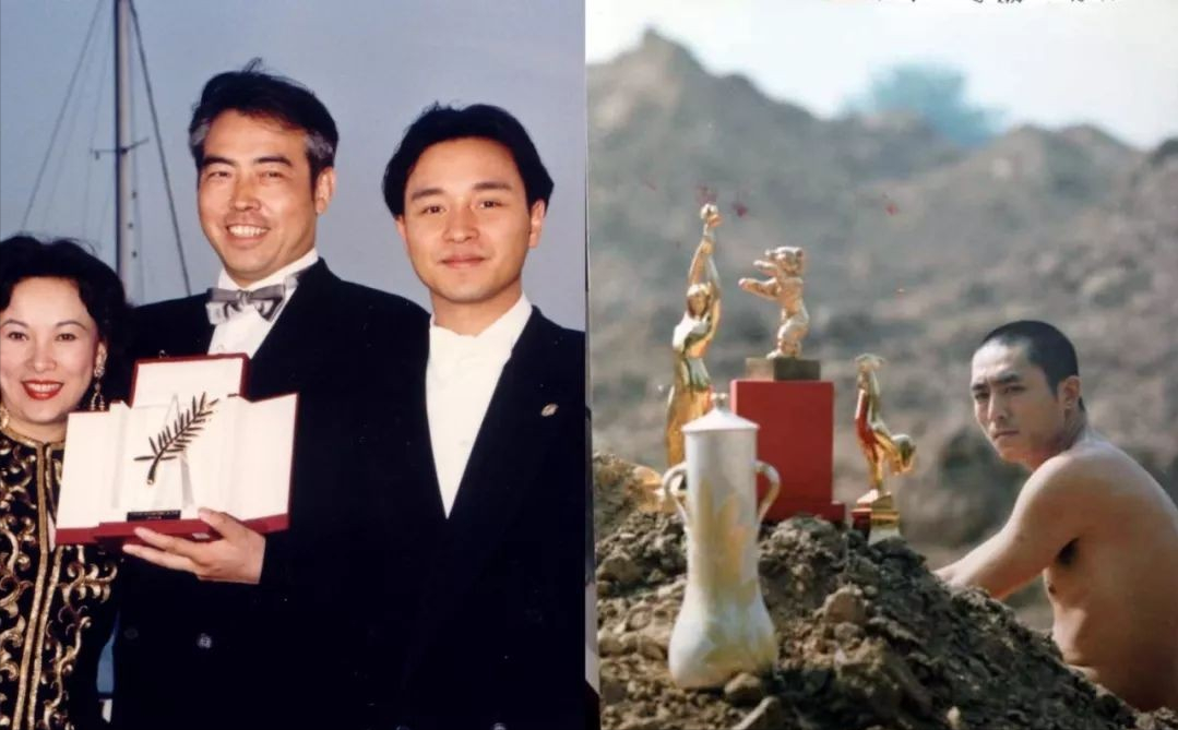 京圈、沪圈、西北圈、东北圈、港圈，在影视界都是何种地位？