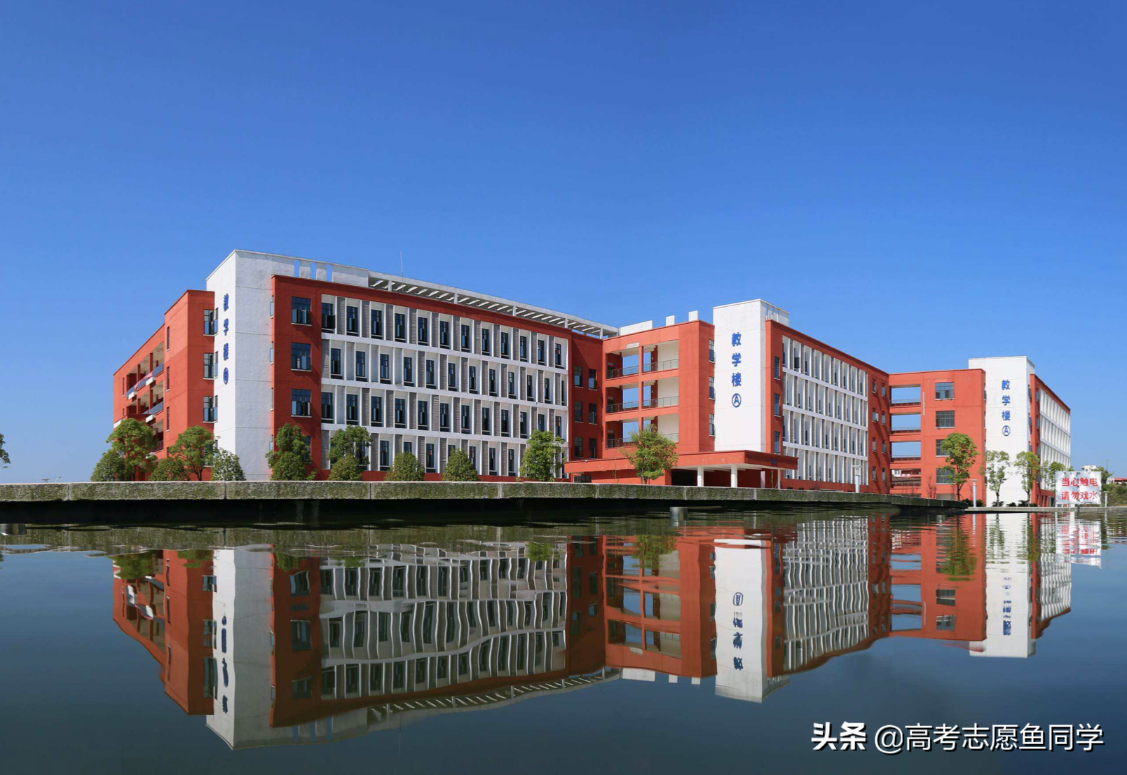 医学专科学校(医学专科学校排行榜)