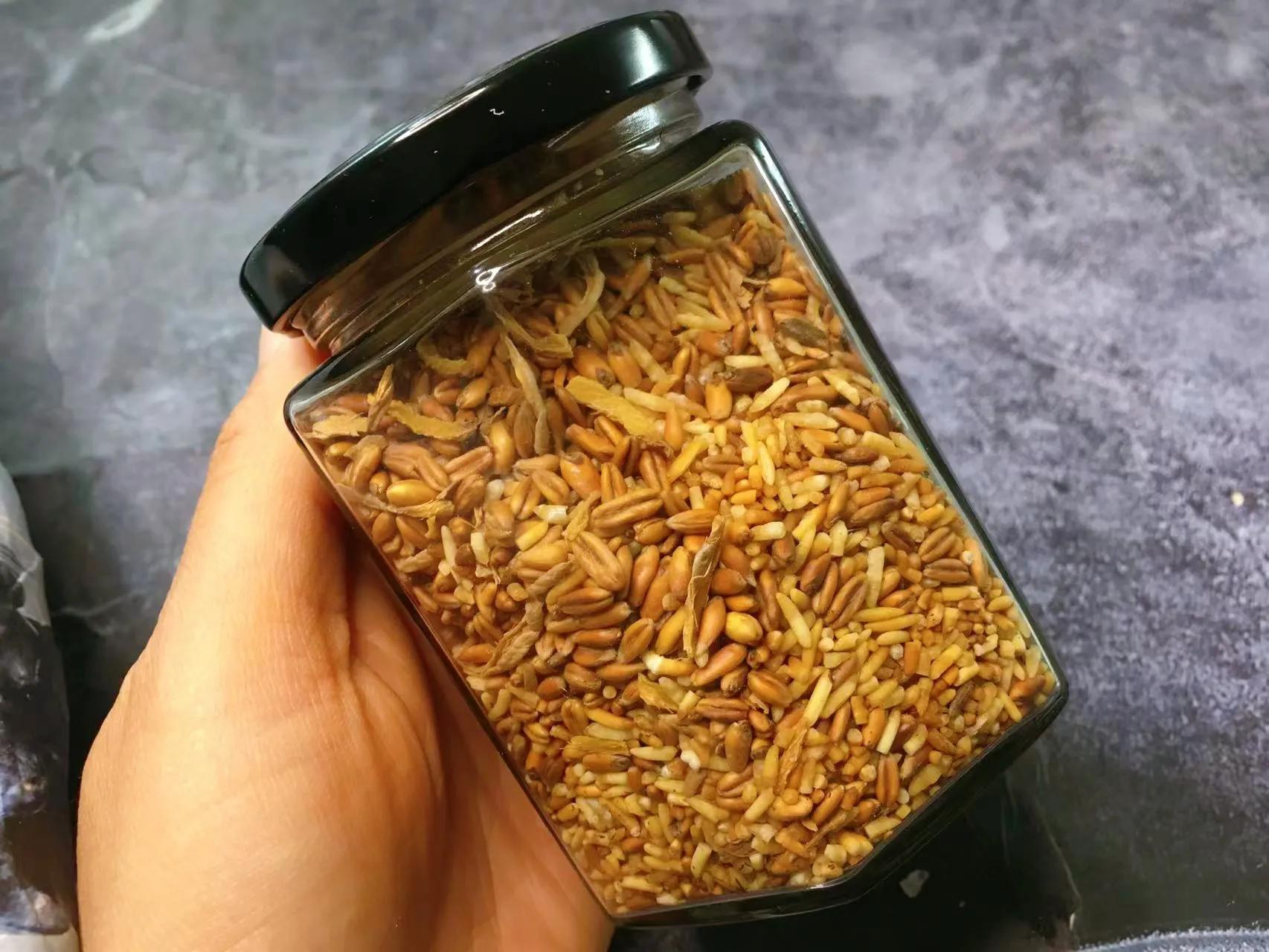 燕麥米和生薑炒一炒，沒想到這麼厲害，我傢一年四季都在喝