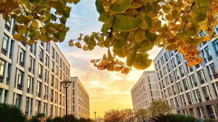 「23管综择校参考」财经类院校TOP10优势最全对比