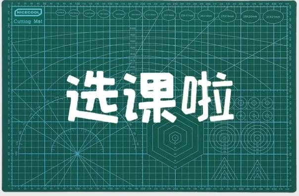 大学生兴趣爱好（给大学生的选课建议）