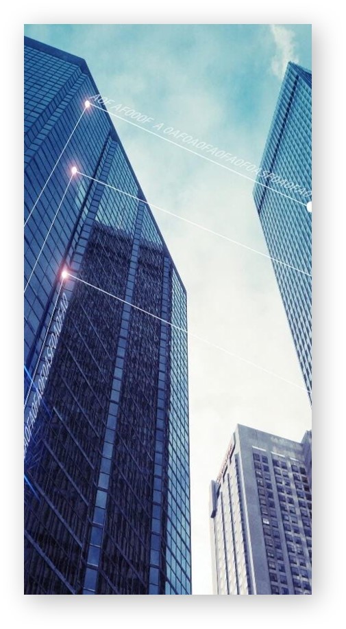 华律税务—专业服务