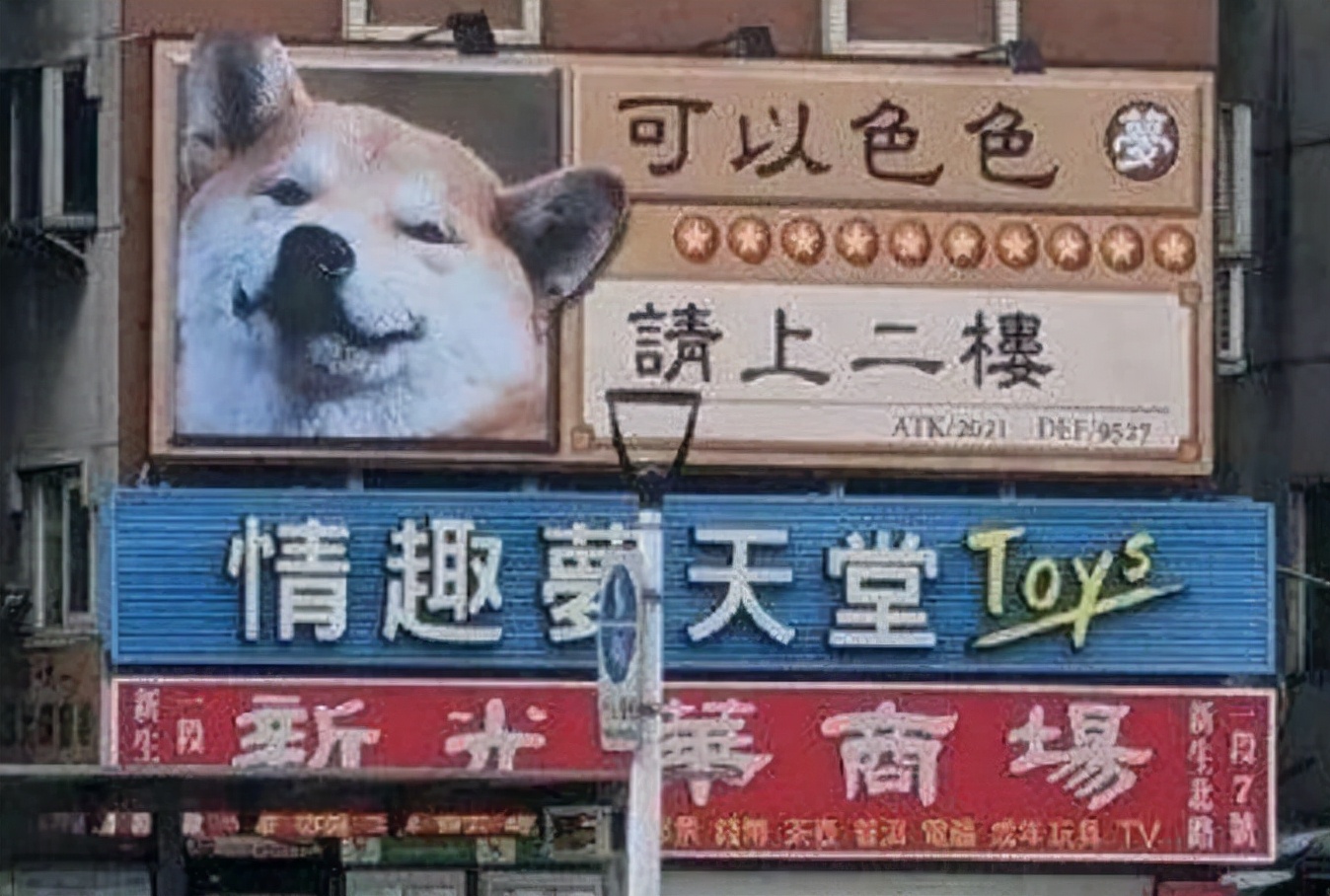 doge在聊天中什么意思(你的群聊“可以色色”吗？)