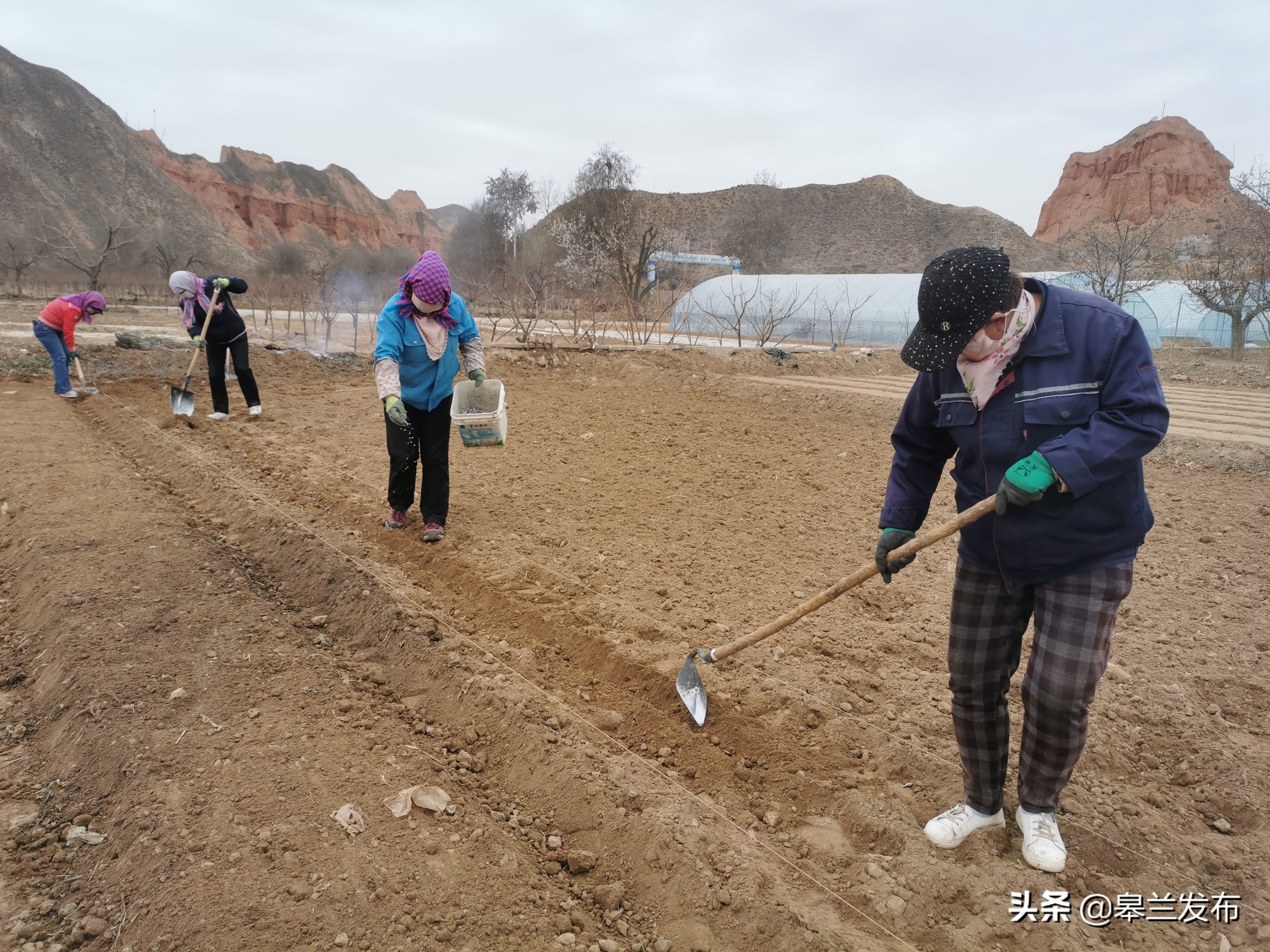 �����ؾź����ٴ�ץ�ô������� ��ʵ�ƽ�ũҵ����