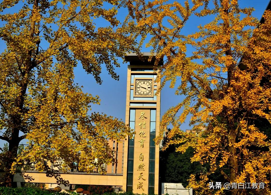 秋冬美图来袭① | 为你喜欢的校园美景投票吧