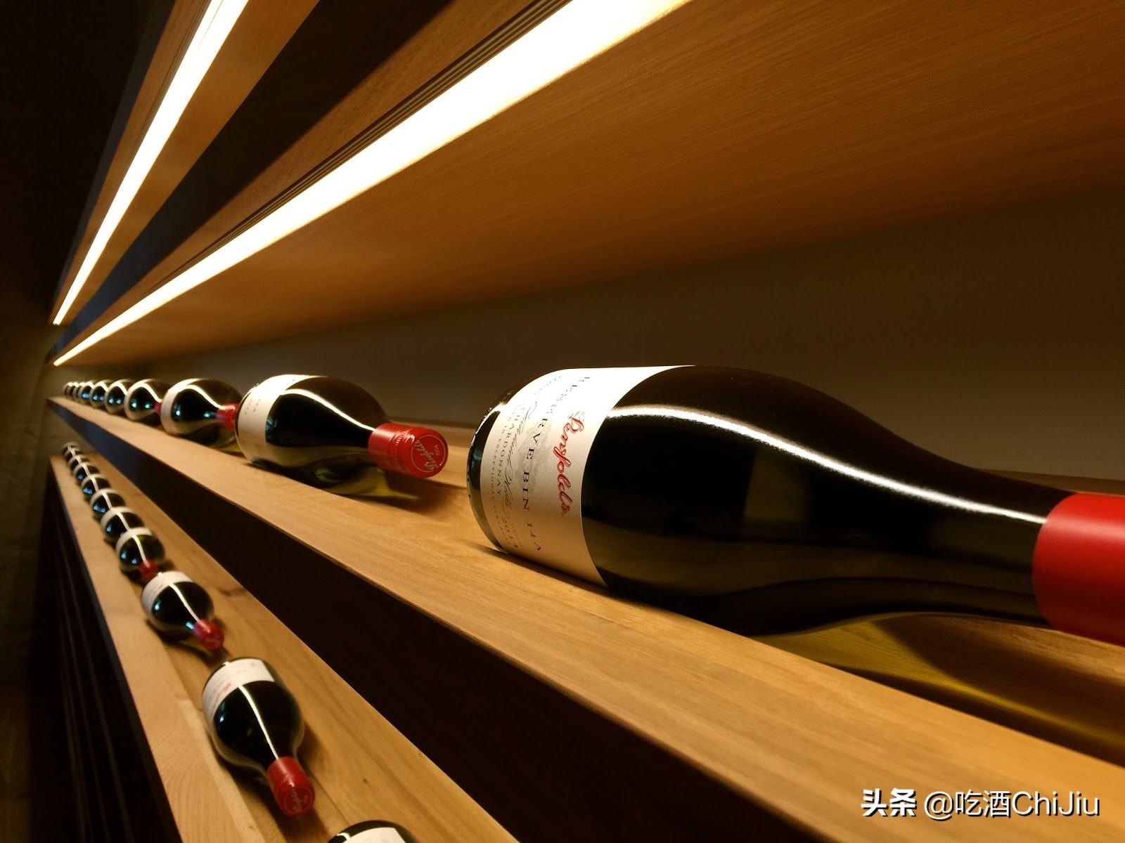 奔富407，为什么国内会火起来？