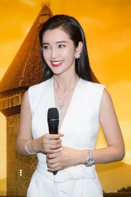 李冰冰，20张精美的照片