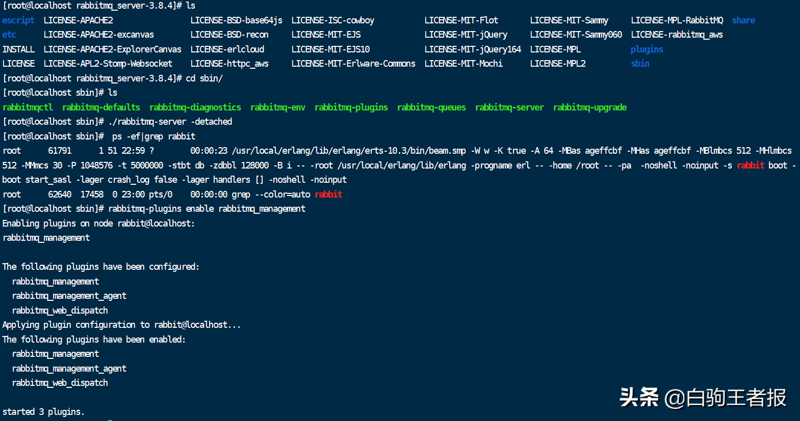 centos7安装RabbitMQ3.8.4