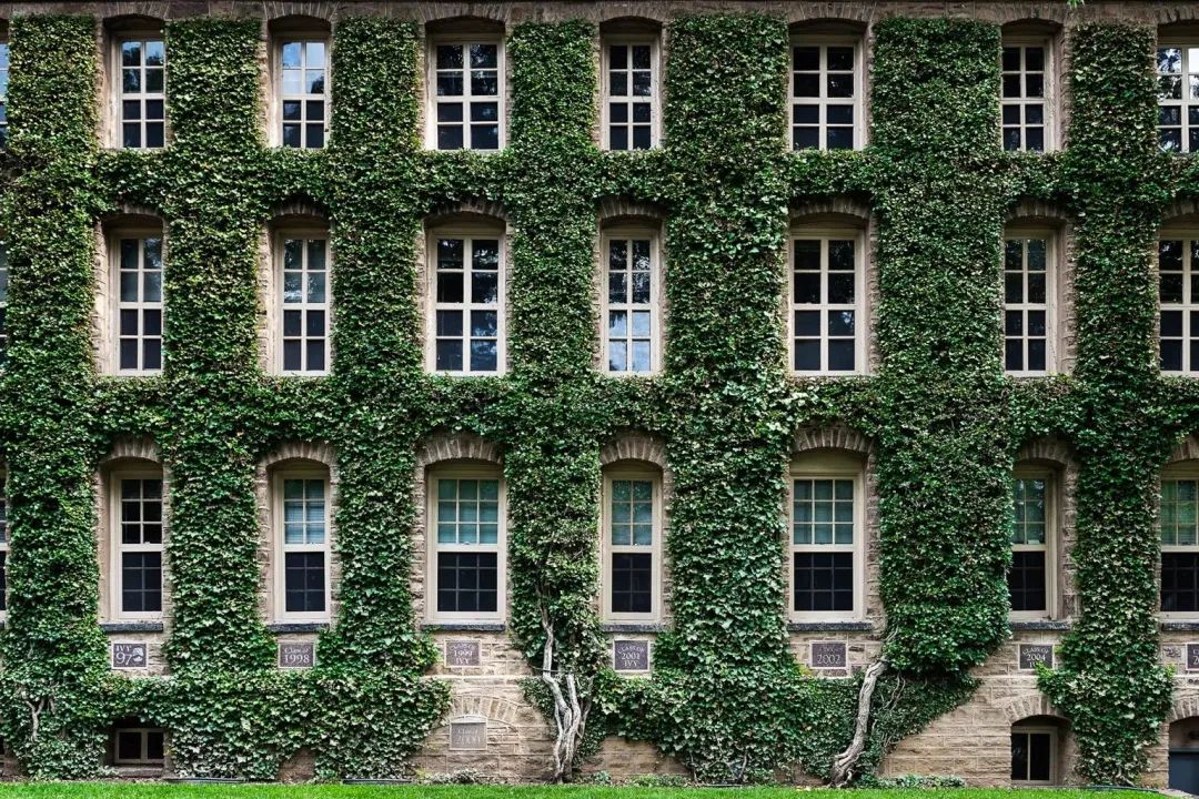 笑拉了，美国高校绰号曝光，谁是全美最强恋爱培训班？