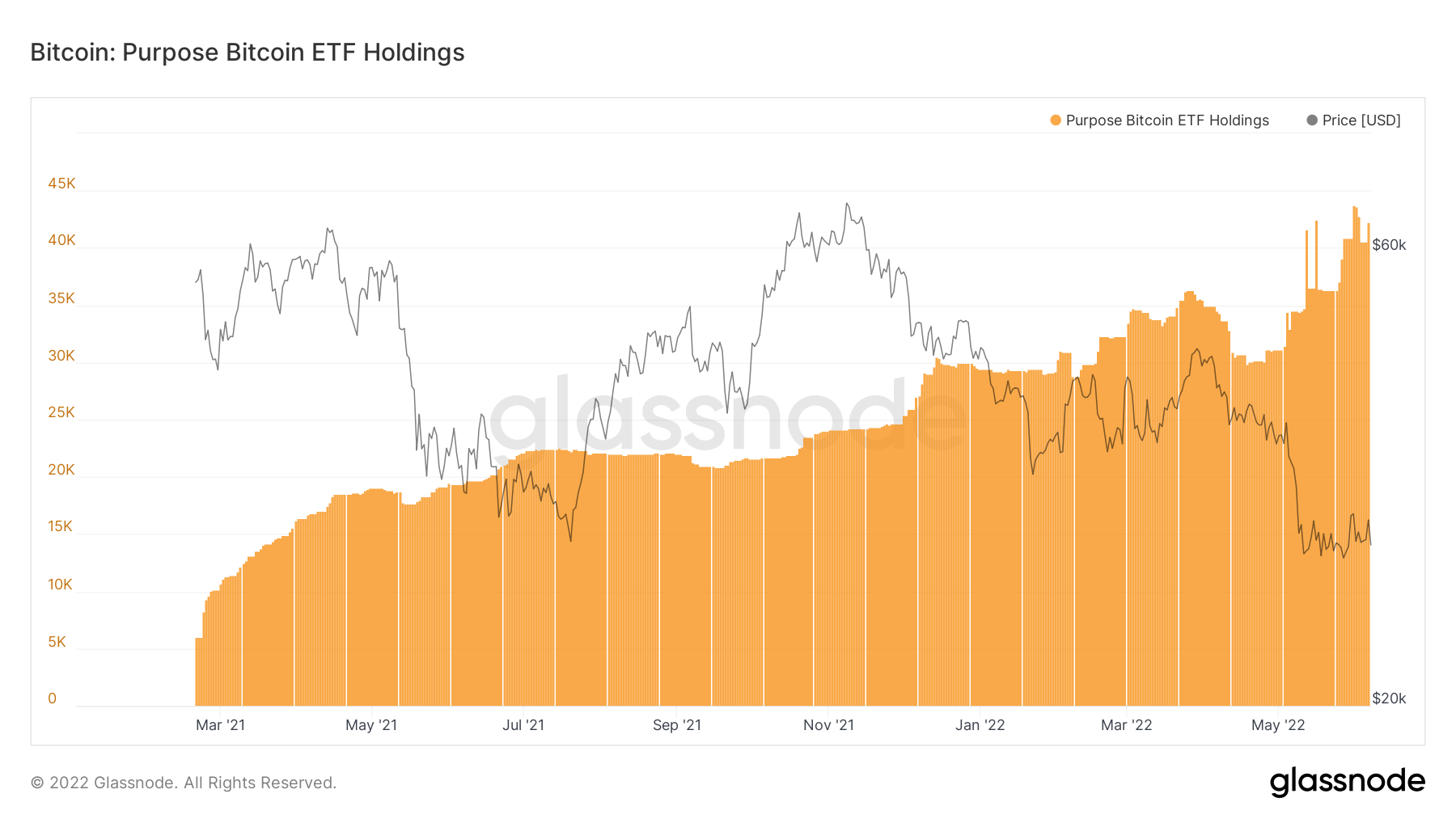 “被低估”的 「BTC」 以……的形式获得了新的利润寻求者